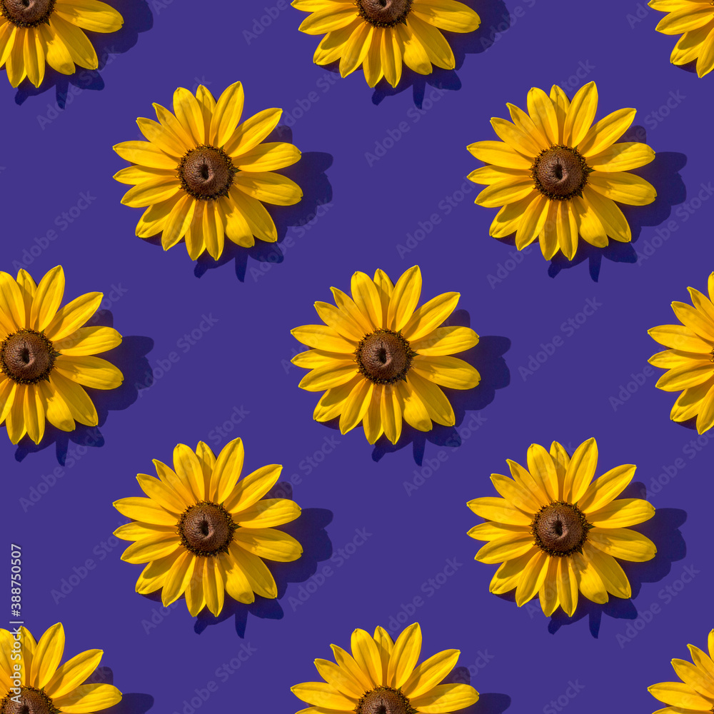 Photo pattern with a yellow flower on a dark blue background. Seamless pattern.