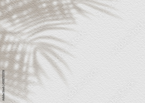 White gray grunge cement texture wall leaf plant shadow background.Summer tropical travel beach with minimal concept. Flat lay  palm nature .