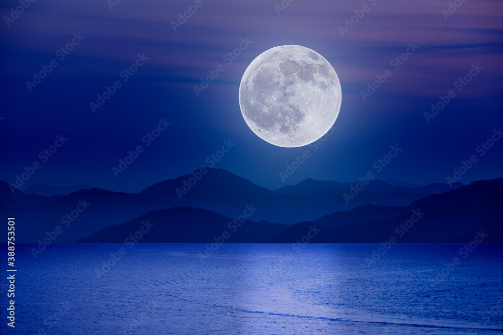 月夜 月夜