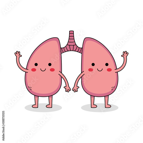 Cute human organ lungs cartoon character