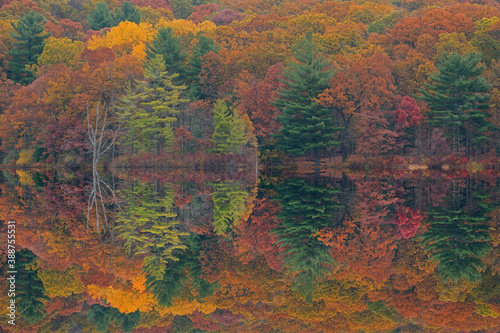 Autumn landscape of the shoreline of Hall Lake with mirrored reflections in calm water, Yankee Springs State Park, Michigan, USA