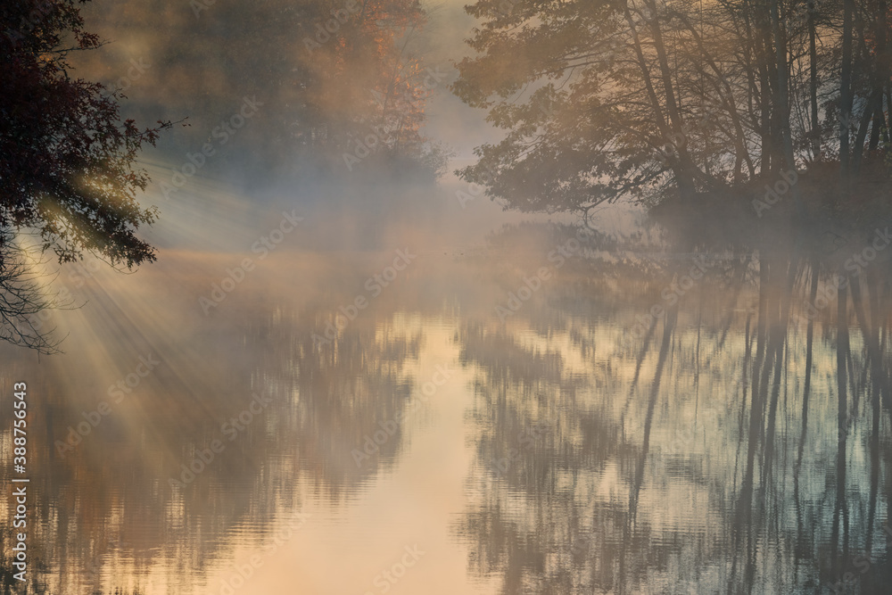 Foggy autumn landscape of the shoreline of Eagle Lake with sunbeams, Fort Custer State Park, Michigan, USA Foggy autumn landscape of the shoreline of Eagle Lake with sunbeams, Fort Custer State Park, Michigan, USA