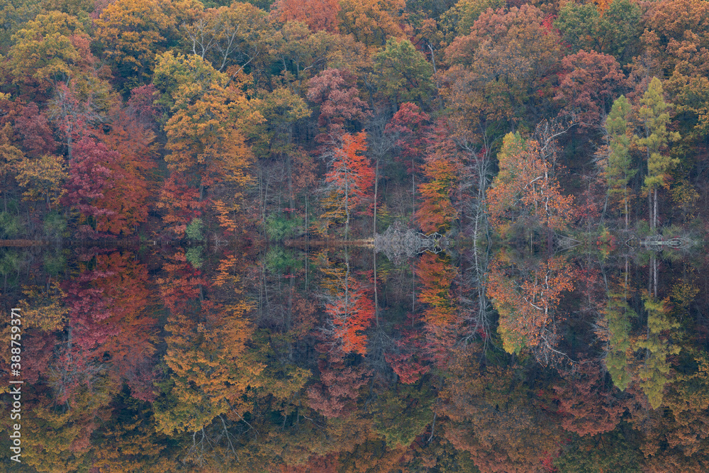 Autumn landscape of the shoreline of Hall Lake with mirrored reflections in calm water, Yankee Springs State Park, Michigan, USA Autumn landscape of the shoreline of Hall Lake with mirrored reflections in calm water, Yankee Springs State Park, Michigan, USA