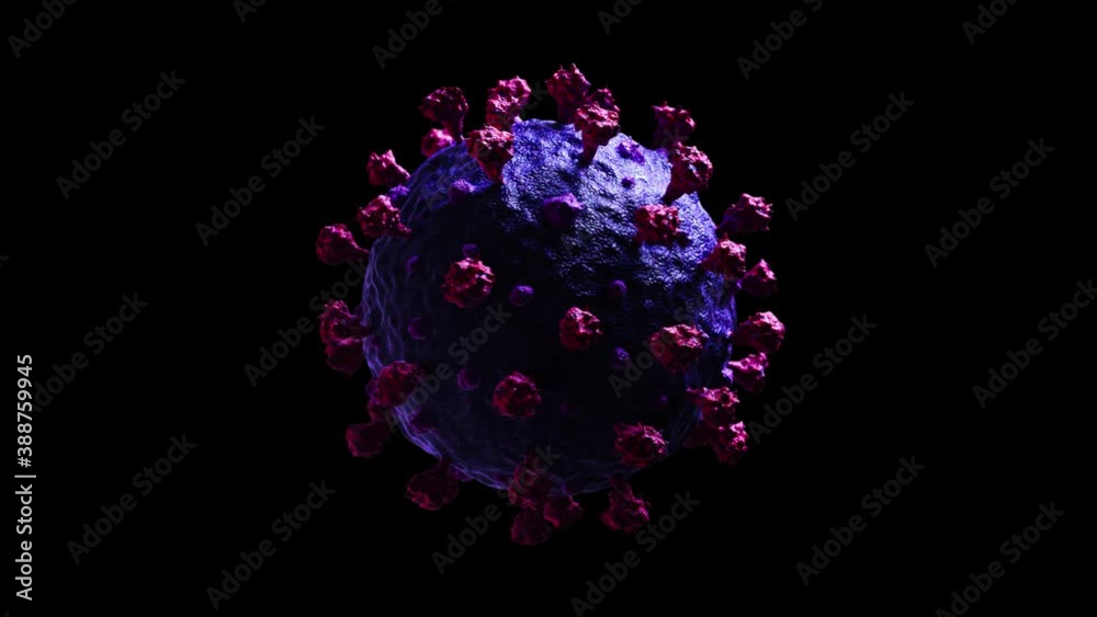 Covid-19 corona virus looped animation Covid-19 corona virus looped animation