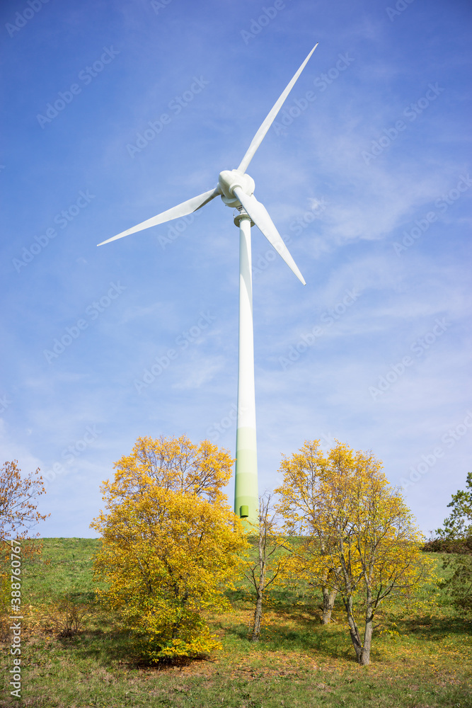 Wind turbines convert wind energy to electrical energy for distribution