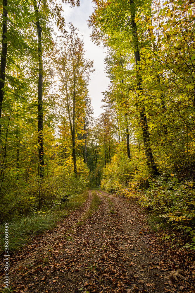 Fantastic autumn hike in the beautiful Danube valley near the Beuron monastery Fantastic autumn hike in the beautiful Danube valley near the Beuron monastery