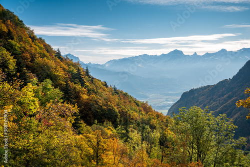 autumn forest in Chablais Valais