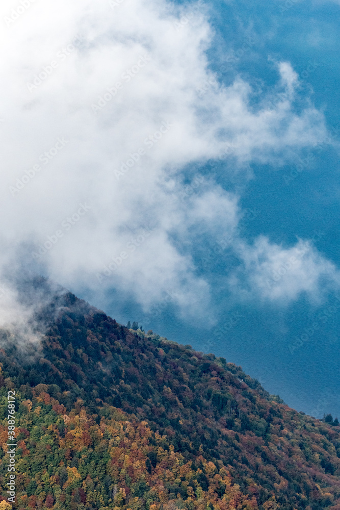 autumn forest in Chablais Valaisan overlooking Lac Leman autumn forest in Chablais Valaisan overlooking Lac Leman
