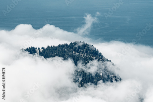 autumn forest in clouds in Chablais Valaisan overlooking Lac Leman © schame87