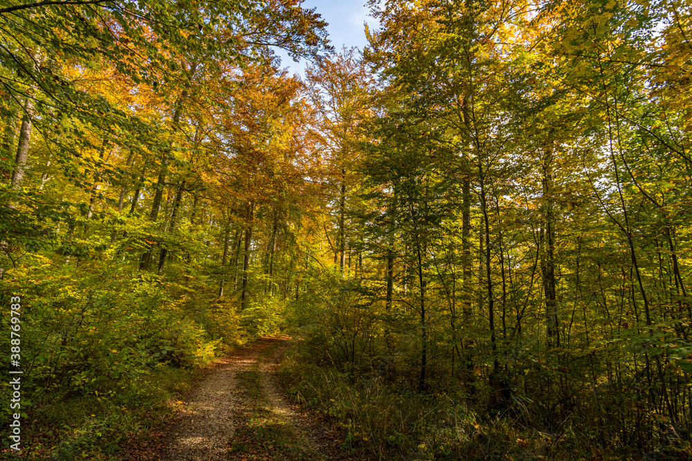 Fantastic autumn hike in the beautiful Danube valley near the Beuron monastery Fantastic autumn hike in the beautiful Danube valley near the Beuron monastery