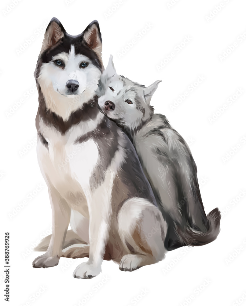 Two fluffy husky dogs sit together
