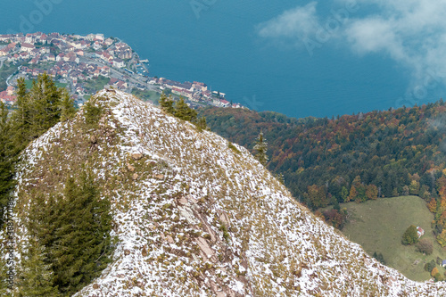 chamois and ibexes high above St-Gingolph photo