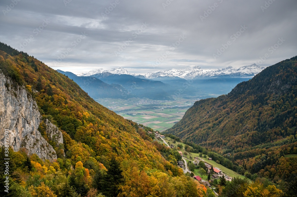 autumn forest in Chablais Valaisan overlooking Valley of the Rhone