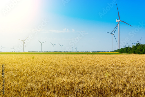 Obraz na płótnie Wheat field and eco power, wind turbines w salonie