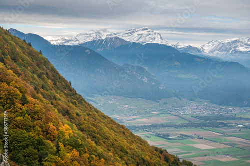 autumn forest in Chablais Valaisan overlooking Valley of the Rhone