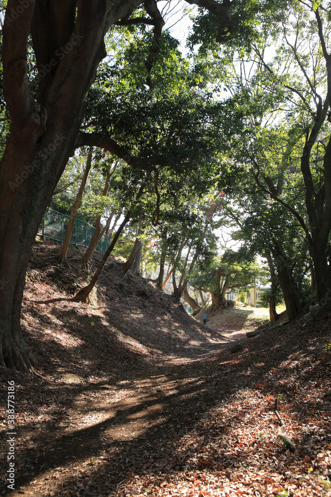 Fototapeta premium 小田原城総構遺構