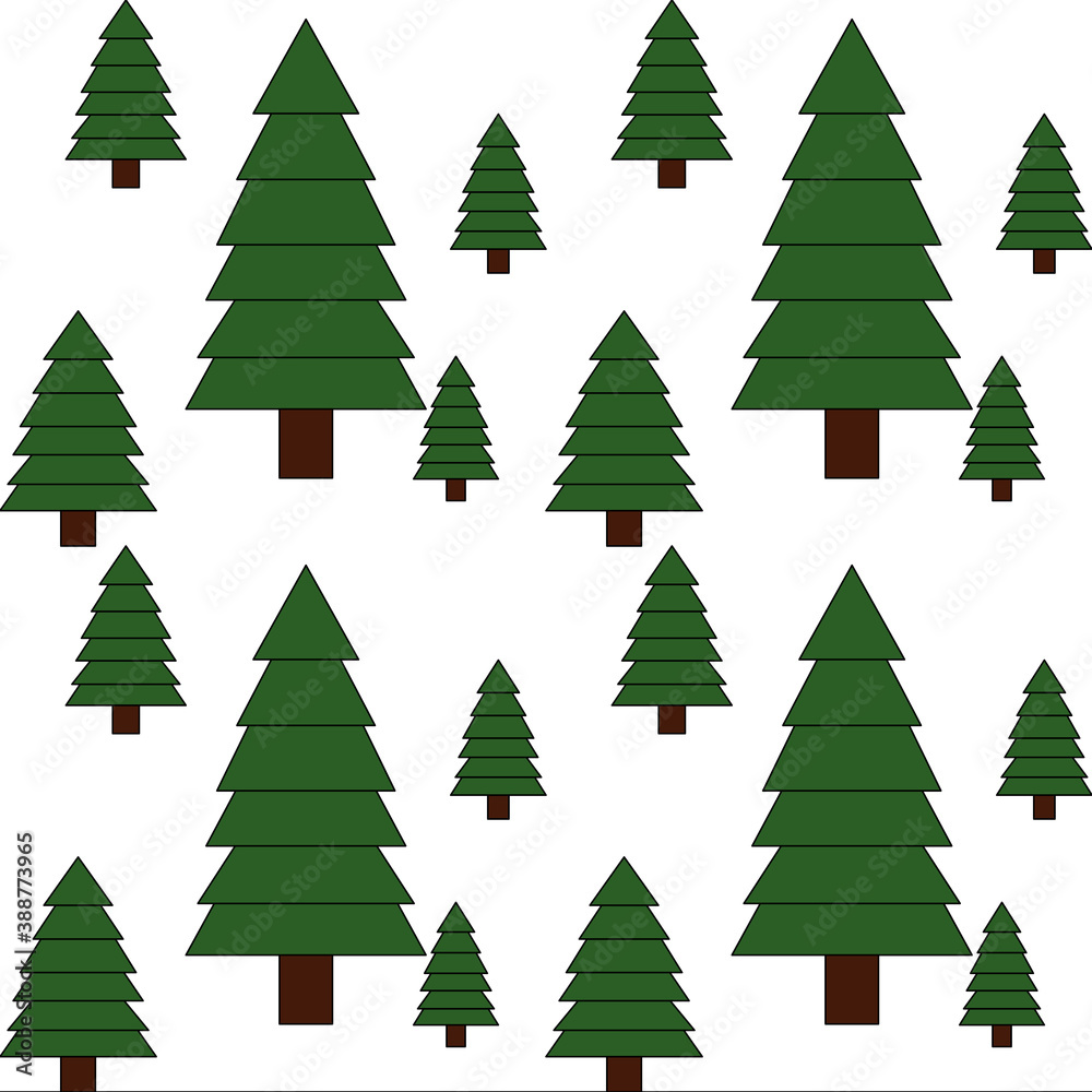 Seamless pattern with evergreen pine trees on the white background. 