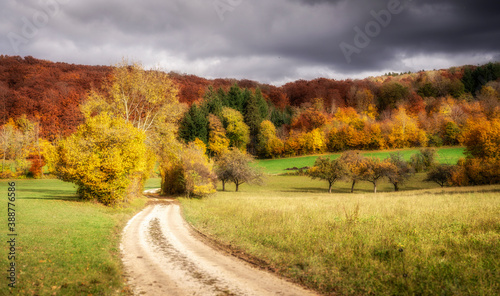 autumn landscape with golde...