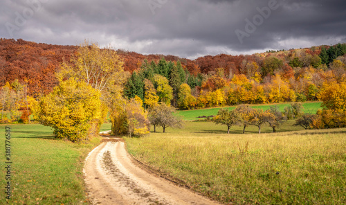 autumn landscape with golde...