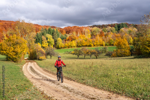 sympathetic active senior woman, riding her electric mountainbike in the gold colored autumn forests of the Swabian Alb