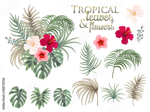 Tropical palm leaves, flowers, jungle leaves, botanical vector illustration