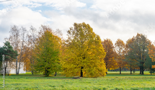 autumn in the park