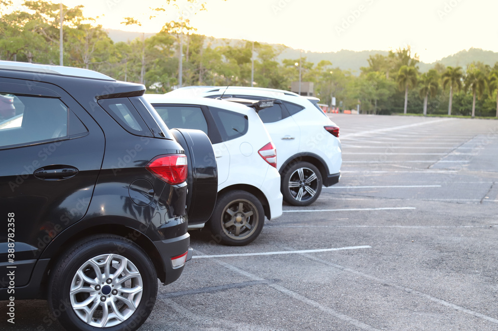 Closeup of rear or back side of black car and other cars parking in outdoor parking lot with natural background in twilight evening. 