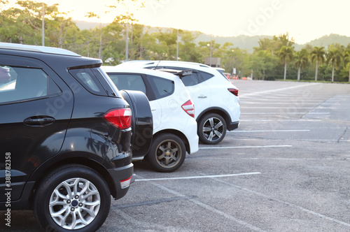 Closeup of rear or back side of black car and other cars parking in outdoor parking lot with natural background in twilight evening. 