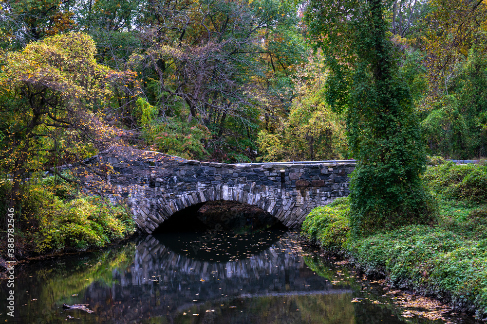 An old stone bridge in deep forest landscape in fall season. Reflection of the bridge in calm water with leaves