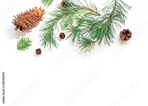 Christmas background. A large pine cone and branches are on a white background and are brightly lit by the sun. New Year, winter concept. Flat lay. Top view. Copy space.