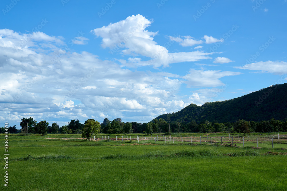 Green grassland scenery Mountains and clouds in sky