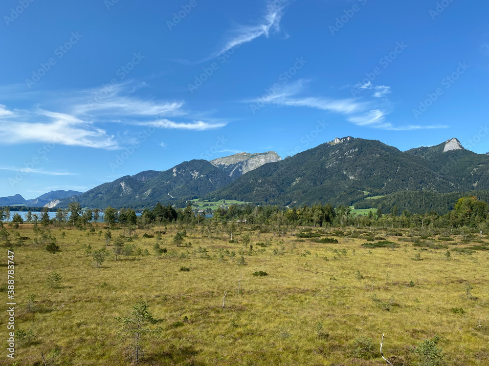 landscape with sky