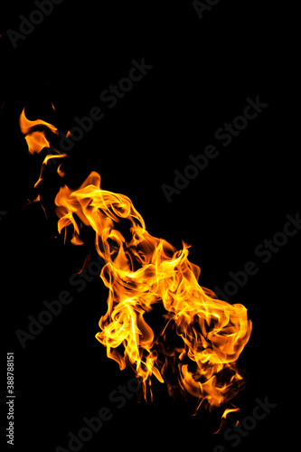 Fire flames on black background isolated. Burning gas or gasoline burns with fire and flames. Flaming burning sparks close-up, fire patterns. Infernal glow of fire in the dark with copy-space