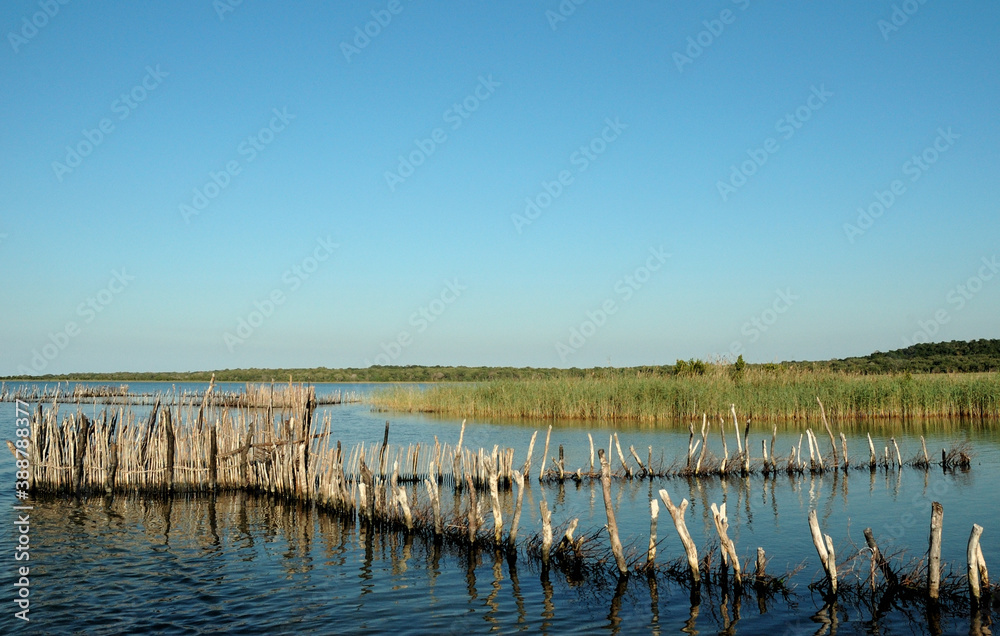 Ancient reed fish kraal in use for trapping fish at Kosi Bay in Kwazulu-Natal - obrazy, fototapety, plakaty 