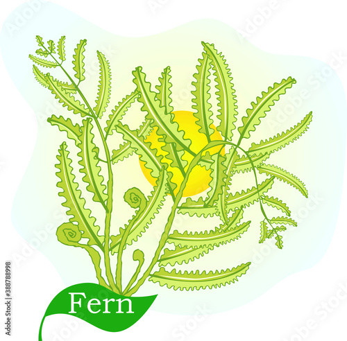 Illustration of flower plant