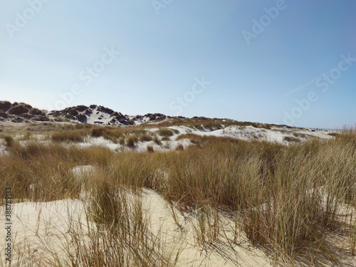 Photo of dunes and white sand beach at Baltic sea