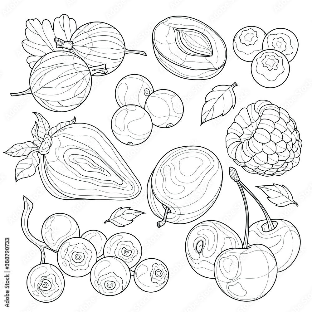 Berry set.Gooseberry, strawberry, blueberry, apricot, plum, currant, cherry, raspberry, cranberry and mint.Coloring book antistress for children and adults. Illustration isolated on white background