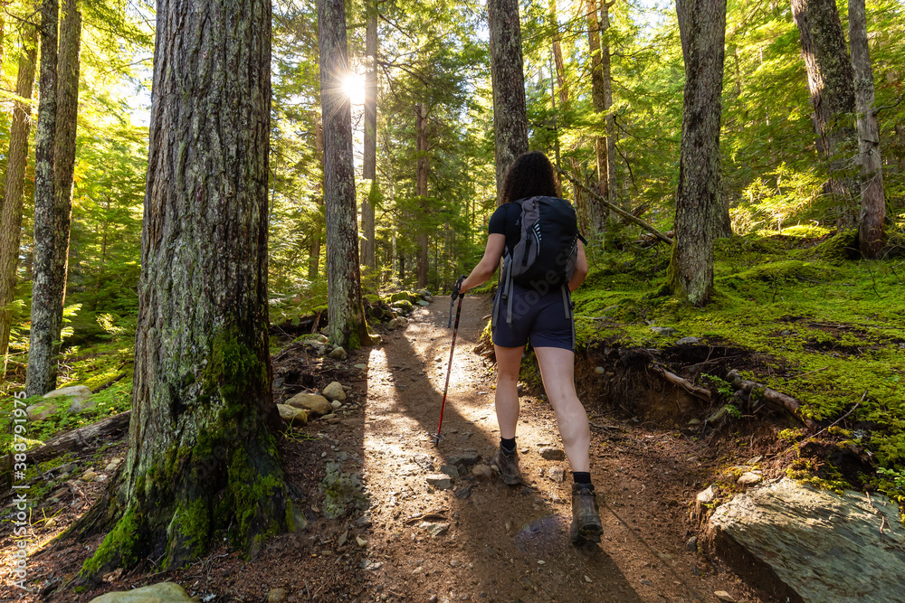 Girl Hiking along Scenic Trail on a Fall Evening in Canadian Nature. Taken in Whistler, north of Vancouver, British Columbia, Canada. Girl Hiking along Scenic Trail on a Fall Evening in Canadian Nature. Taken in Whistler, north of Vancouver, British Columbia, Canada.