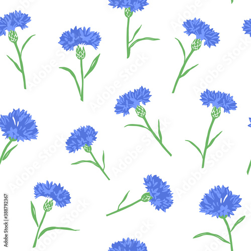 Seamless pattern with cornflowers. Blue cornflowers on a white background. Vector illustration. © Sarema