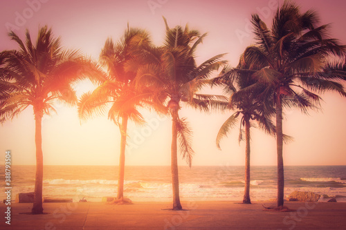 Silhouette coconut palm trees near the beach at sunset. Vintage tone.