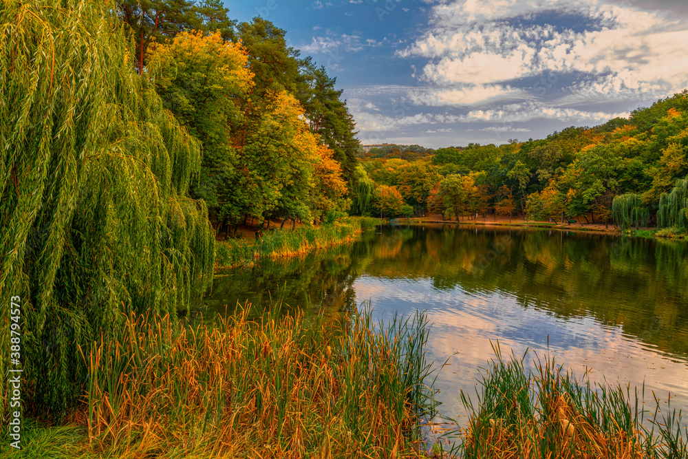 Park lakes surrounded by trees with beautiful autumn leaves. Hiking. Landscape.