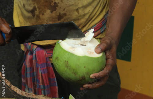 Canvas Print NEW DELHI, INDIA - Oct 29, 2020: A man preparing fresh Coconut for sale in the local street market during coronavirus COVID-19