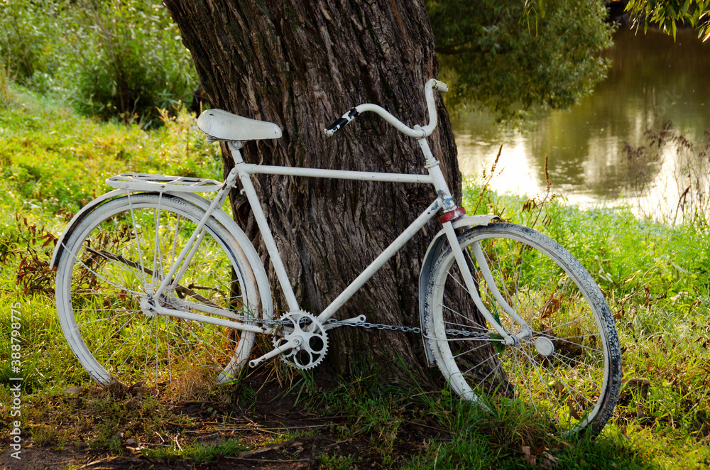 An old white Bicycle near a tree in a summer Park.