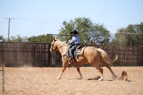 Young cowboy riding horse through outdoor arena. © ccestep8
