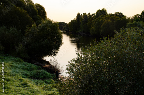 Early morning in the wild. Beautiful sunrise near the pond. Wallpaper, screen saver, cover.