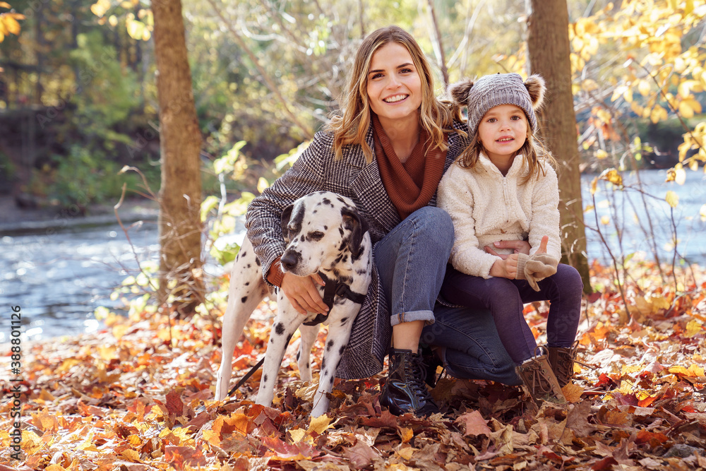 girl and her daughter and Dalmatians dog in a park in autumn girl and her daughter and Dalmatians dog in a park in autumn