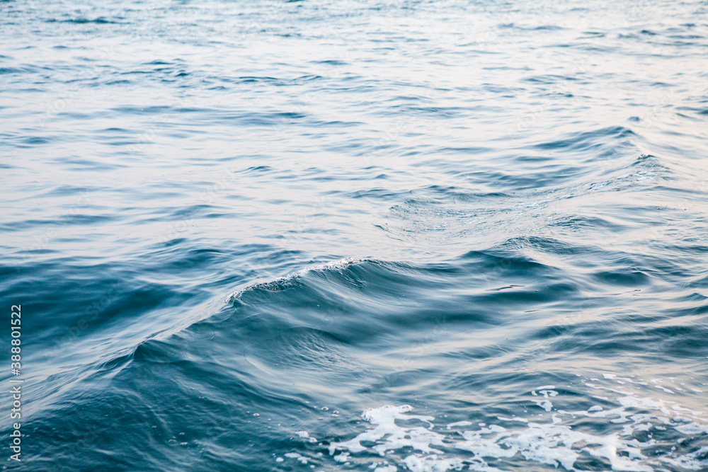 Naklejka premium 早朝の館山湾