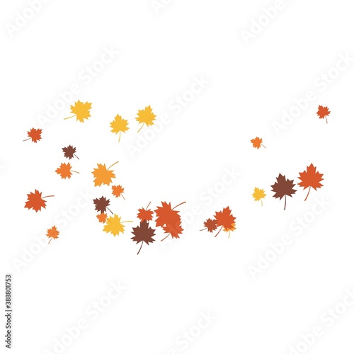 Autumn Leaf background