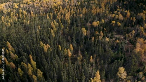 A slow aerial over a late autumn boreal forest in the Canadian shield.  Whiteshell provincial park.  Dead trees and brush scattered among the foliage. photo