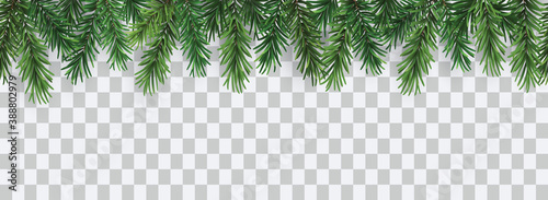 Vector decorative seamless christmas pattern or frame with green coniferous branches